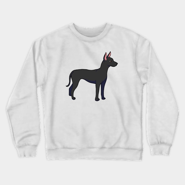 Xoloitzcuintli Crewneck Sweatshirt by Adastumae